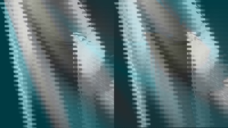 17 Teal Grey Beige Conflits de loi : Droit français reconnu applicable sur la base de la règle exceptionnelle de l’article 4(3) du Règlement Rome II