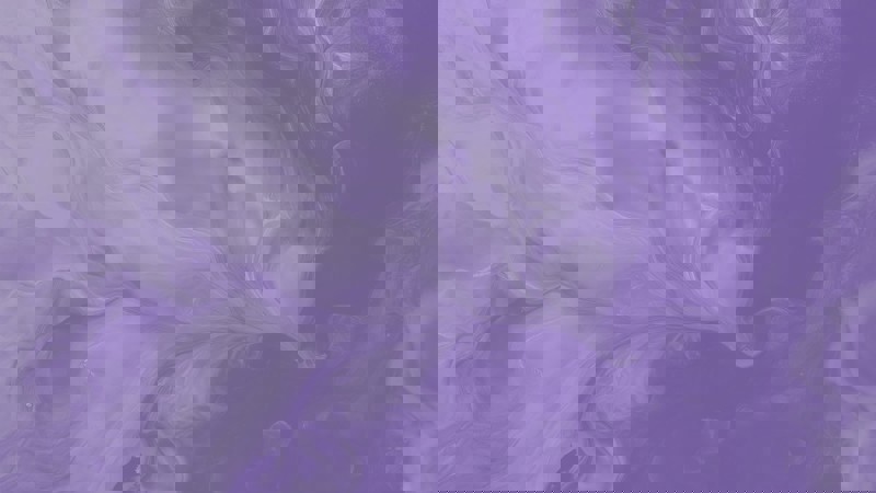 13 Purple Beige 1 Changing workplace policies and procedures