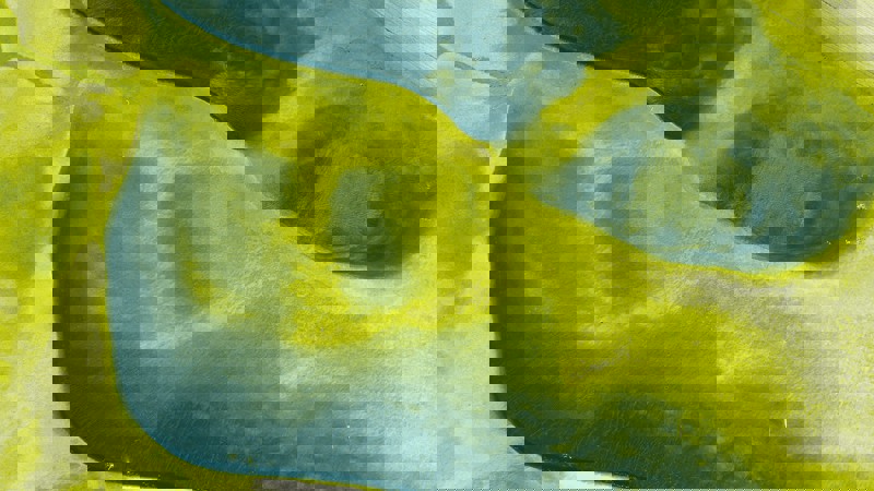 27 Teal Lime Beige 5