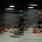 Podcasts