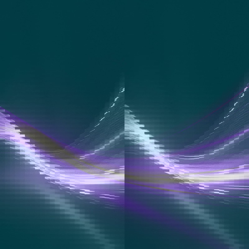 Teal Purple Beige Light Stalking Protection Orders