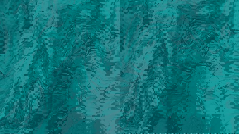 6 Teal Light Teal 3 6 Teal Light Teal 3