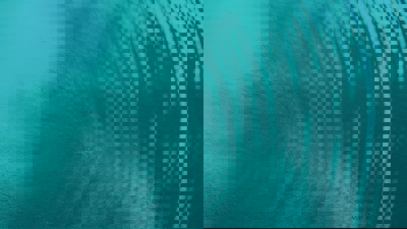 36 Teal Light Teal Blue 1 Improving supply contract management