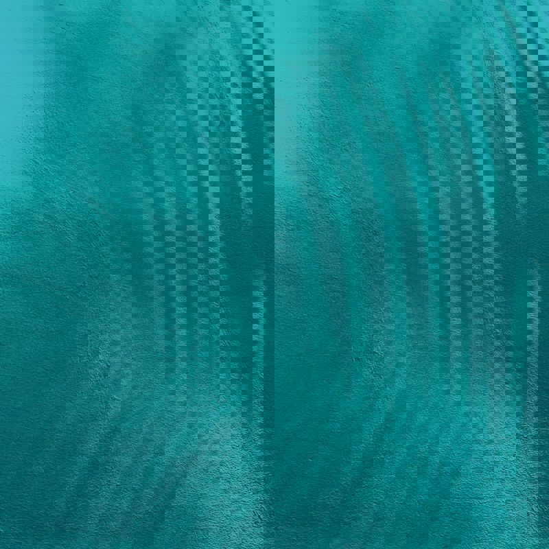 36 Teal Light Teal Blue 1 Where are we now on freedom of speech?
