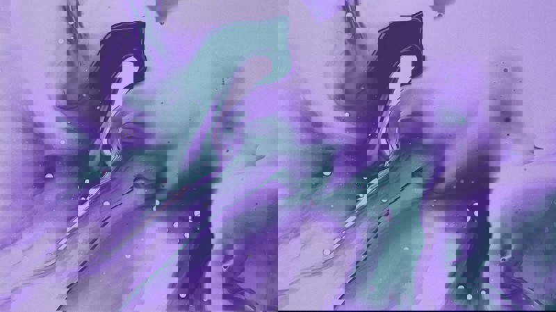 23 Teal Purple Beige 5 Structure of Business & Divorce - Sole Trader